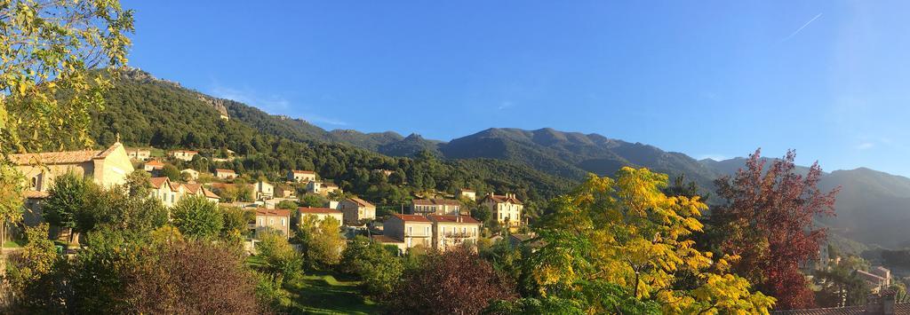 Gite Du Chalet Pietri Olivese Buitenkant foto