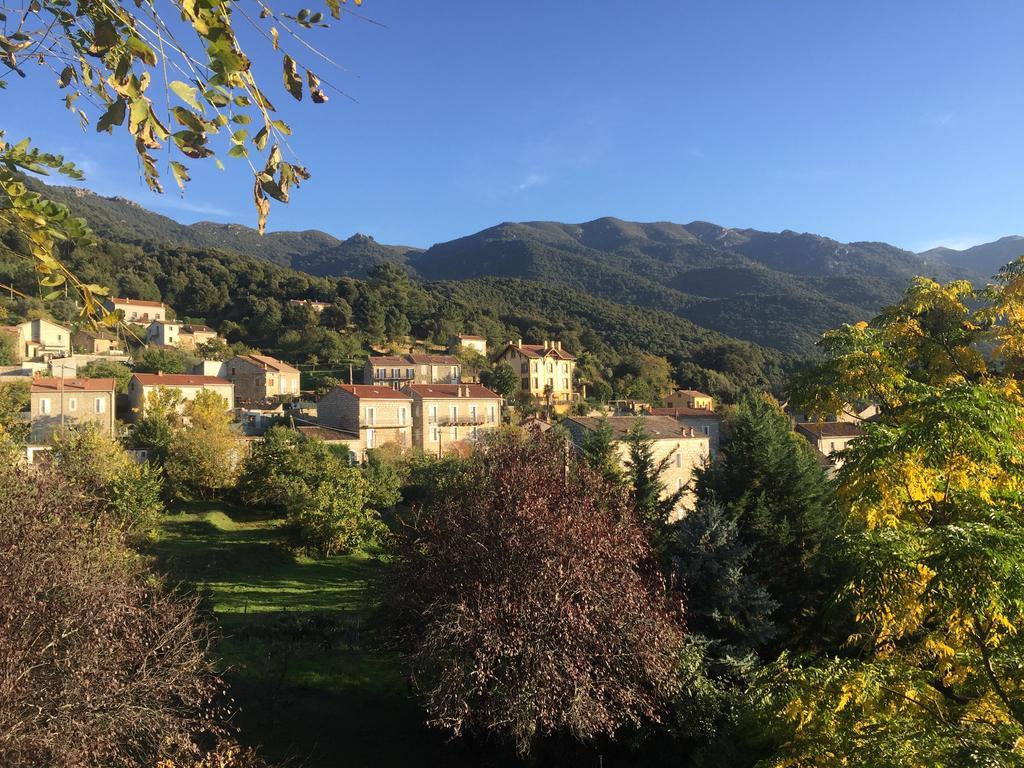 Gite Du Chalet Pietri Olivese Buitenkant foto