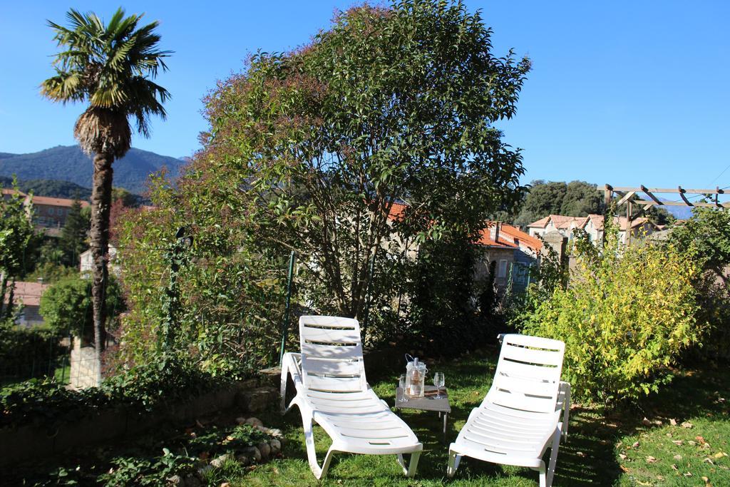 Gite Du Chalet Pietri Olivese Buitenkant foto