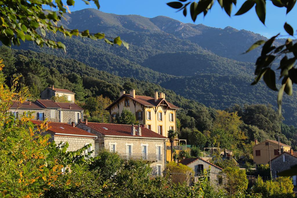 Gite Du Chalet Pietri Olivese Buitenkant foto