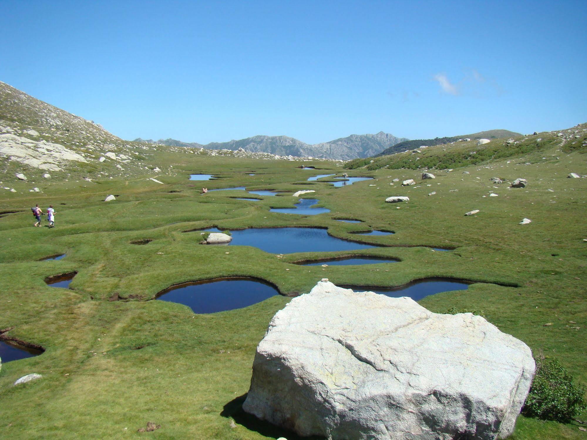 Gite Du Chalet Pietri Olivese Buitenkant foto