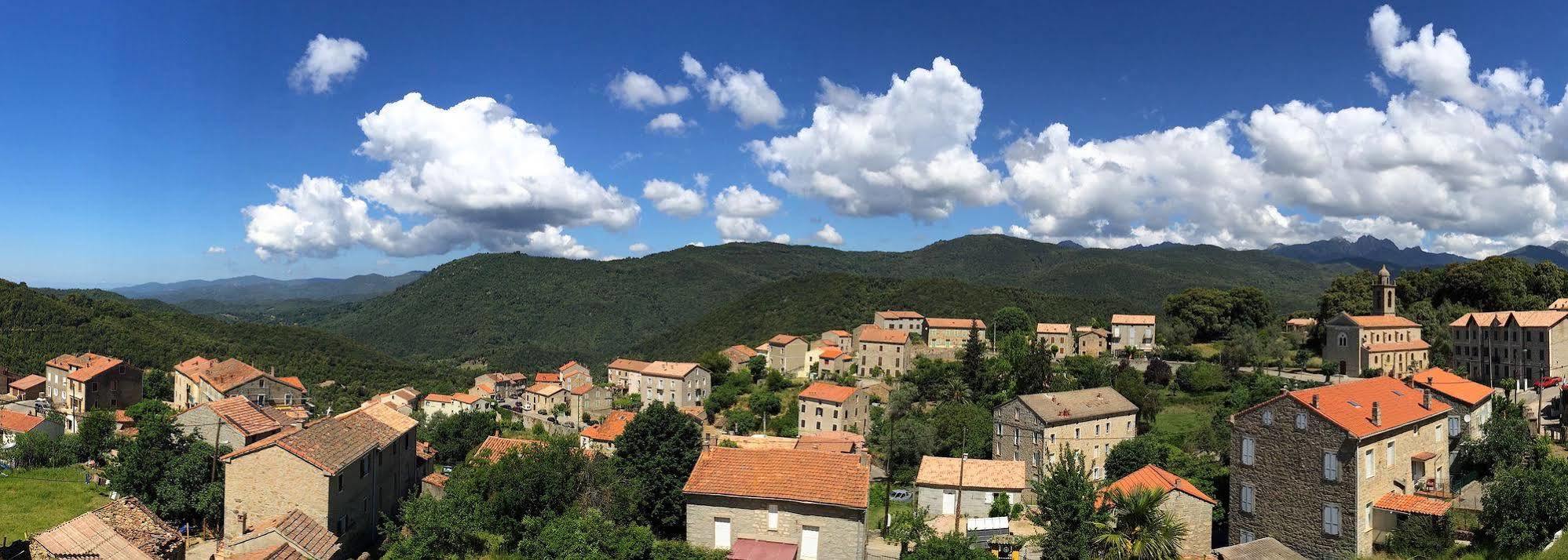 Gite Du Chalet Pietri Olivese Buitenkant foto